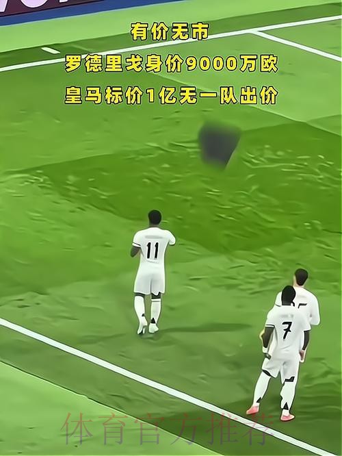 身价9000万何去何从? 罗德里戈失去皇马位置 身价9000万何去何从? 罗德里戈失去皇马位置